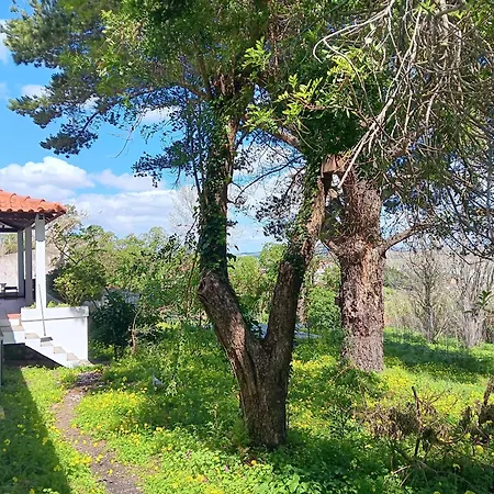 Nyaraló Quintinha A 35min De Lisboa *